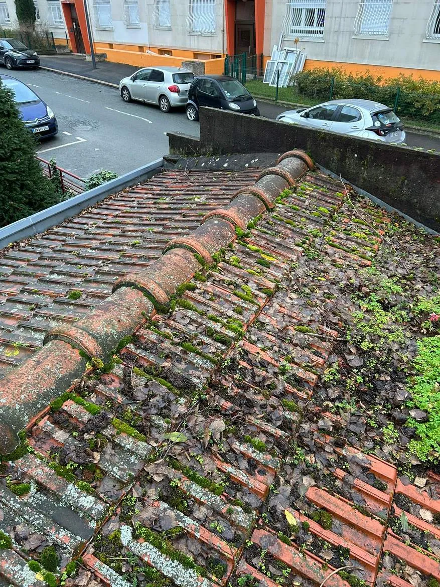 Avant : toiture envahie de mousses, lichens et feuilles